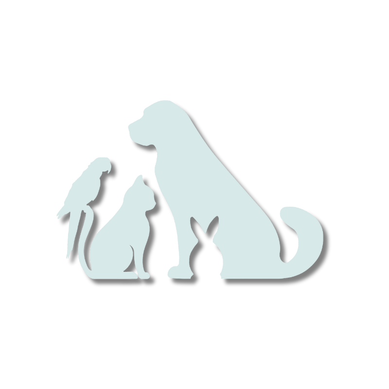 Margarita Frias | Amenidades - Áreas para mascotas