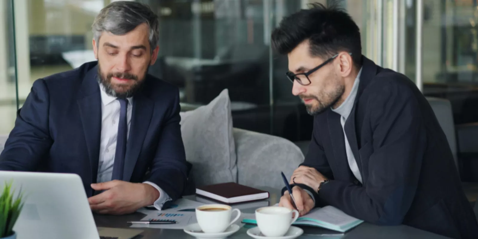 Oportunidades Empresariales en Punta Cana
